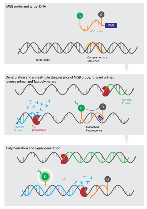 Gene Expression Analysis (3)