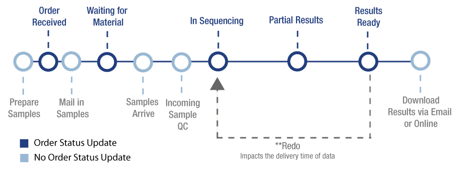 Order -History -Status -Messages -Process -Timeline -Graphic -Infographic -Sequencing -Short