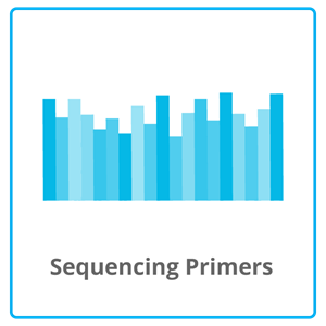 Sequencing Primers