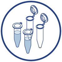 Templatetypes