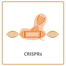 CRISPRs