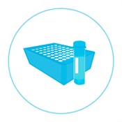 Tube And Plate Teal